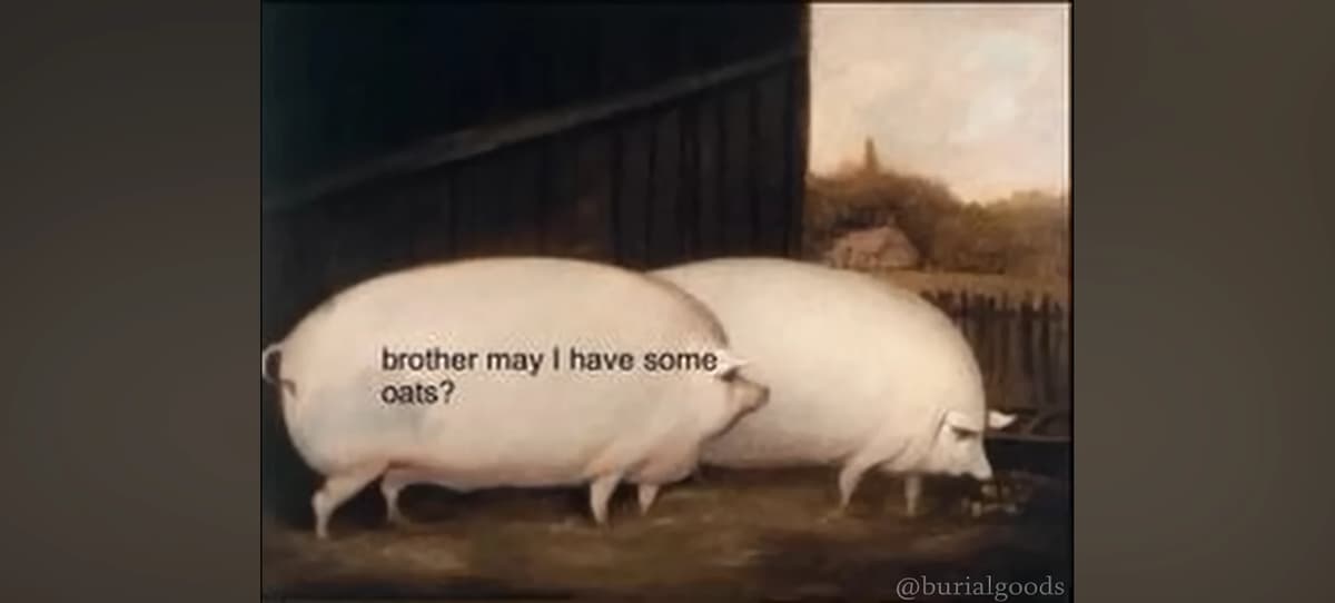 May I have some oats thumbnail