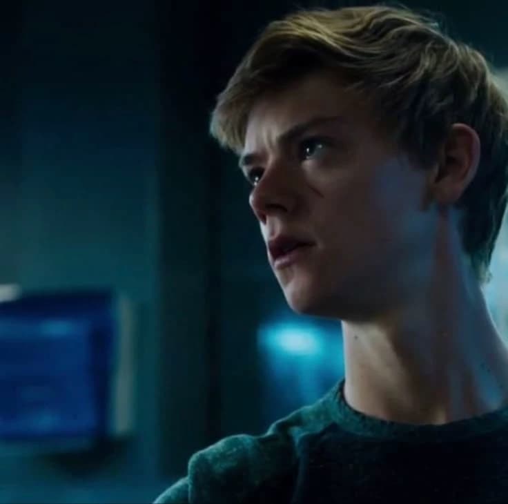 Newt TMR thumbnail