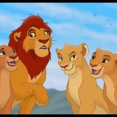 Three lionesses in love with a lion thumbnail
