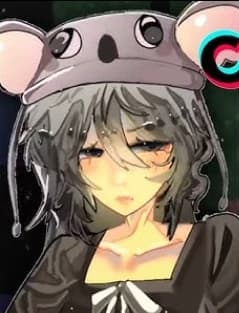 |• 🐨Koala Kid⚫ •| thumbnail