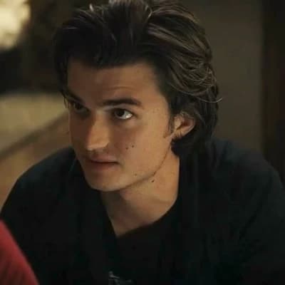 Steve Harrington thumbnail