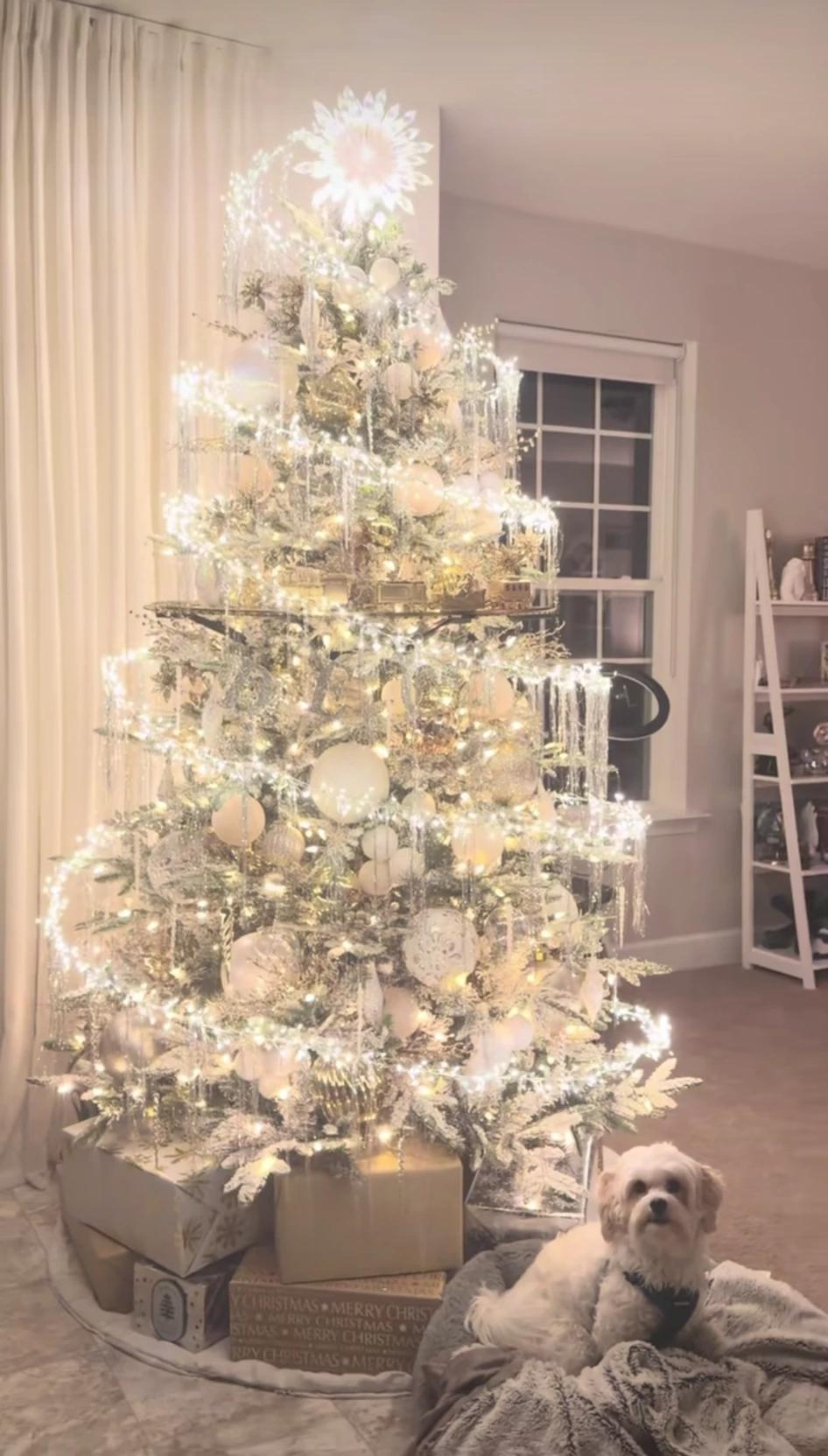 Christmas thumbnail