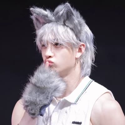Bangchan - wolf hybrid thumbnail
