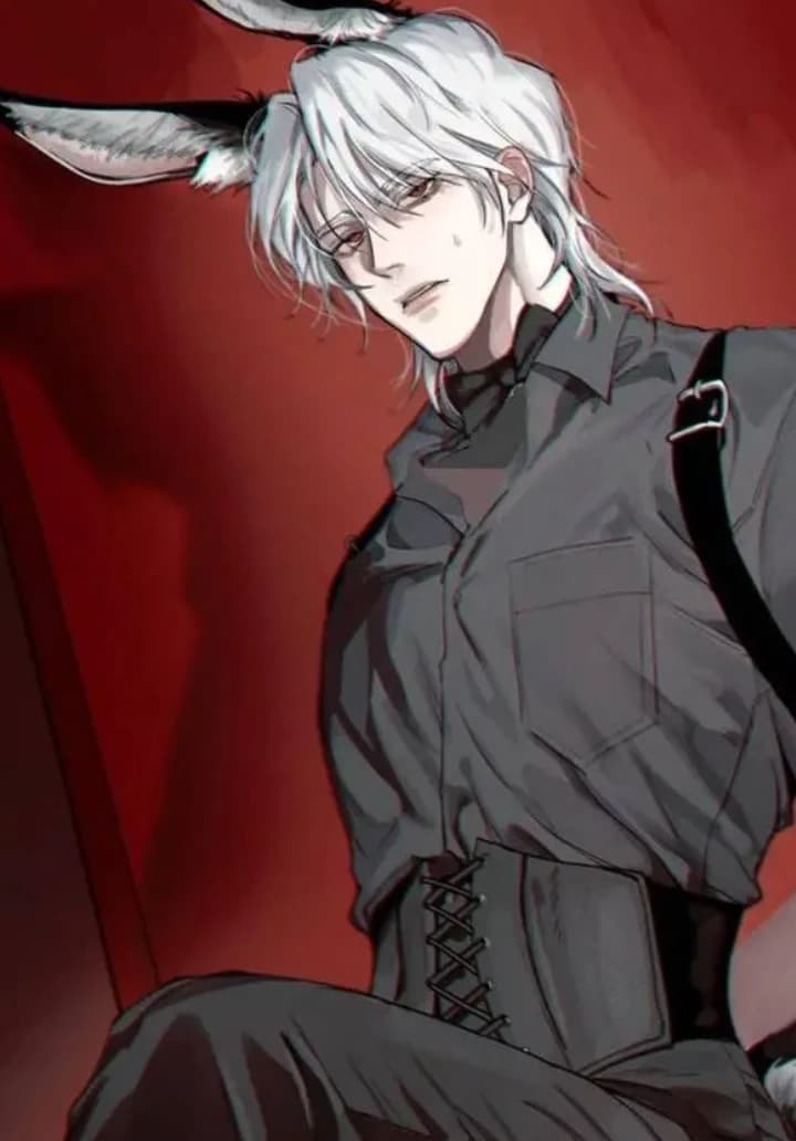 Your rabbit is in heat thumbnail