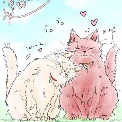 Black Back and Kirishima Gatos thumbnail