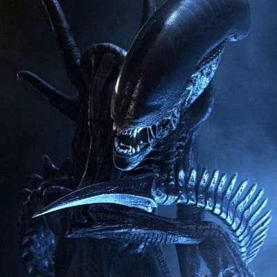 ALIEN ( 🏳‍🌈) thumbnail