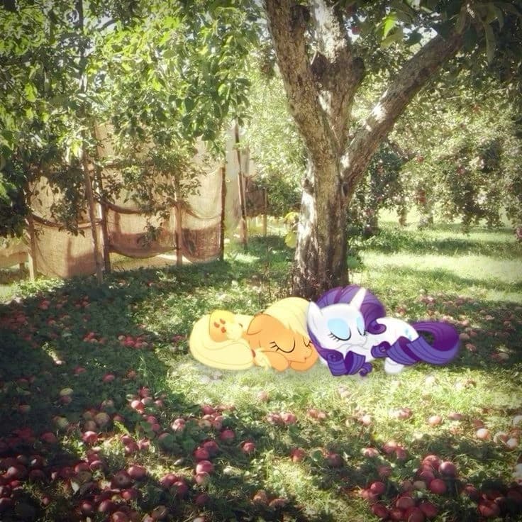Friendly nap 😴😇 thumbnail