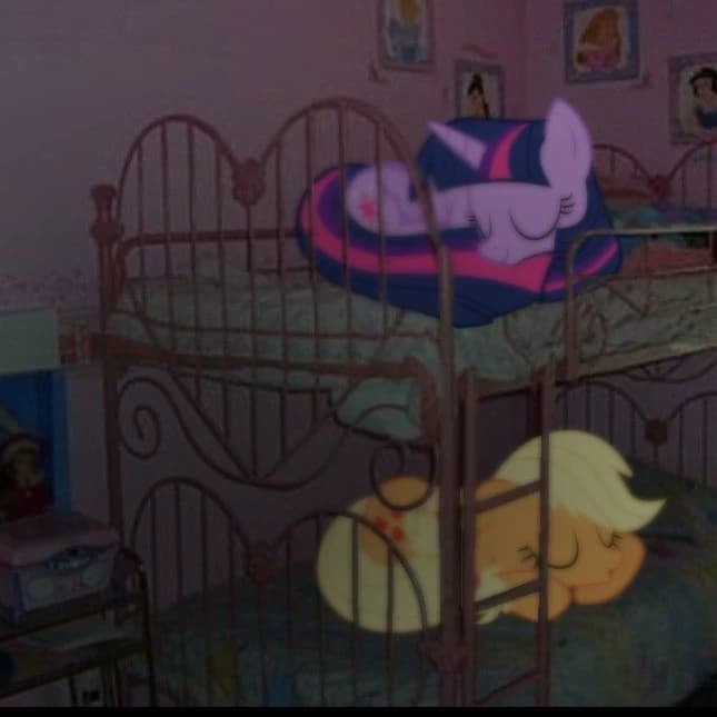 Twilight Sparkle and Apple Jack in their new room thumbnail