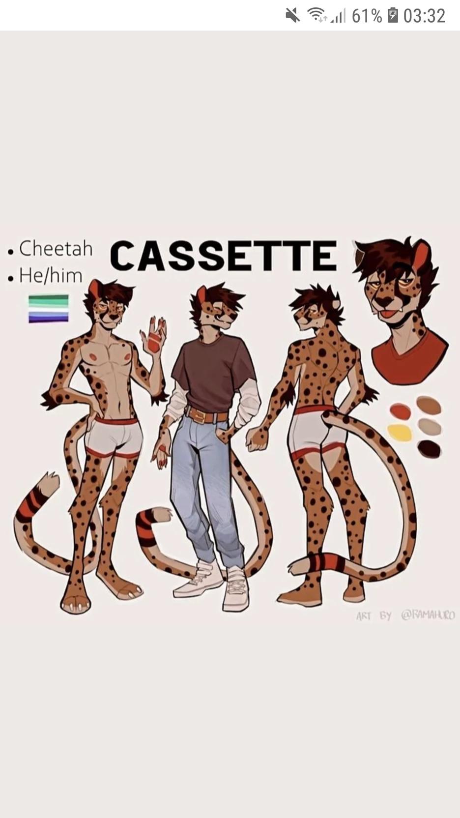 Cassette Arden Veltre thumbnail