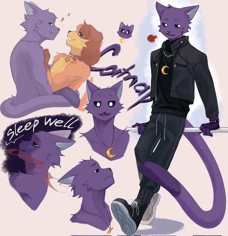 Catnap thumbnail