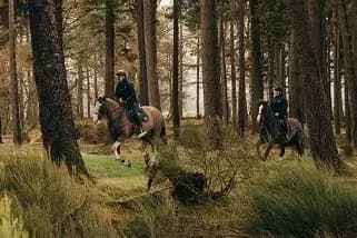 Wessex Riding Academy thumbnail