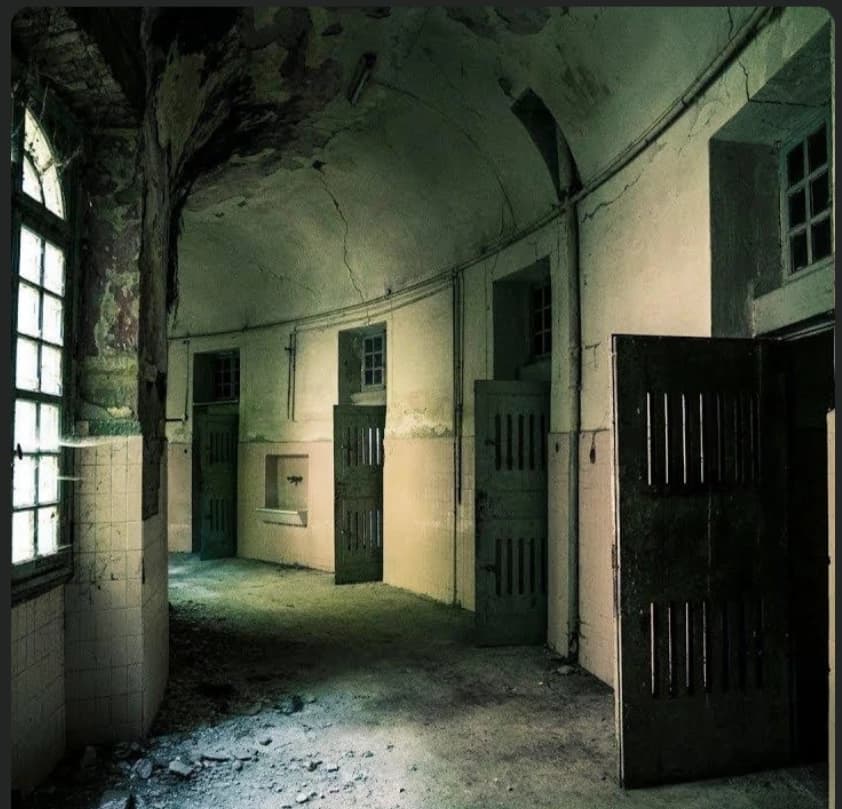 All male asylum  thumbnail
