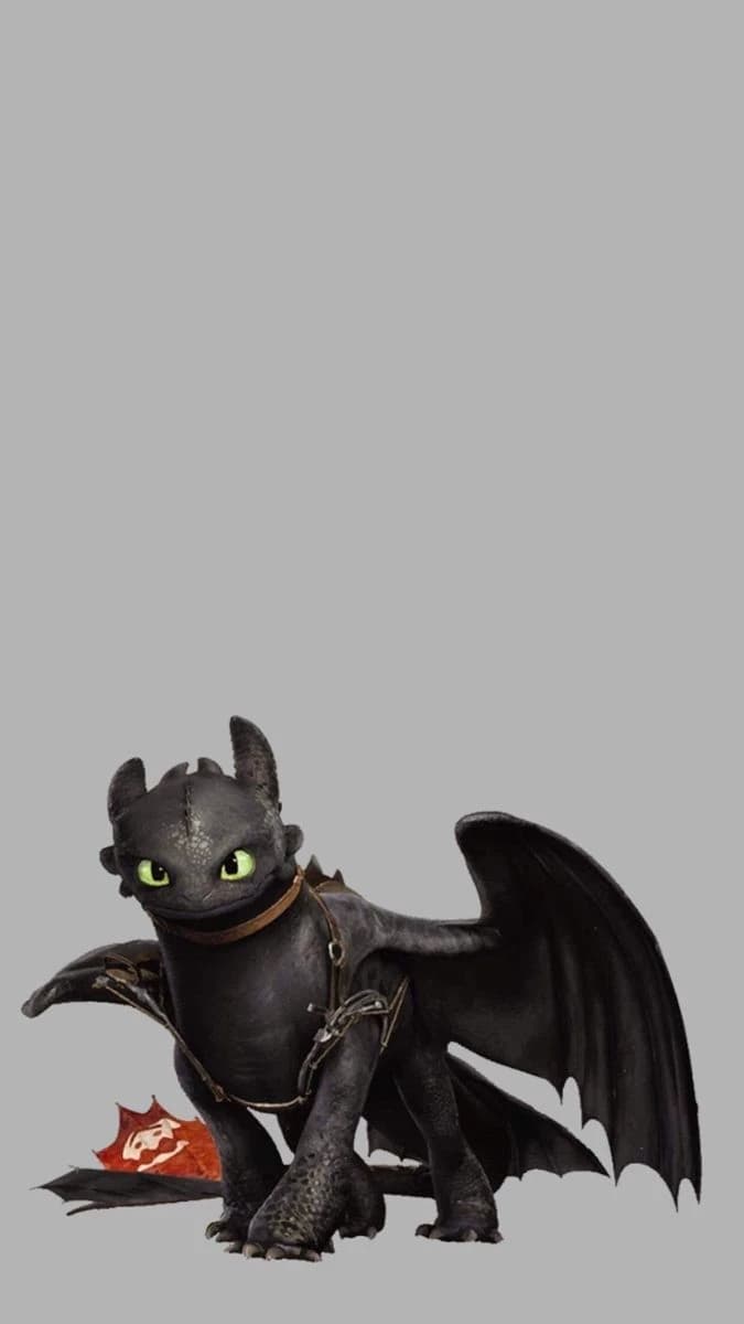 Fury of the night (TOOTHLESS)🌑🖤 thumbnail