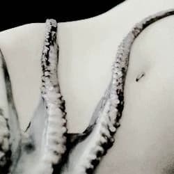 Suckers? thumbnail