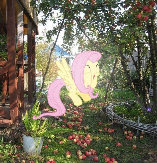 Fluttershy on a real farm ❤️ thumbnail