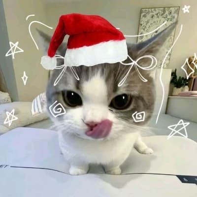 Christmas Michi thumbnail