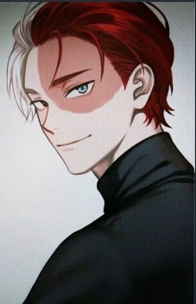 Shoto Todoroki thumbnail
