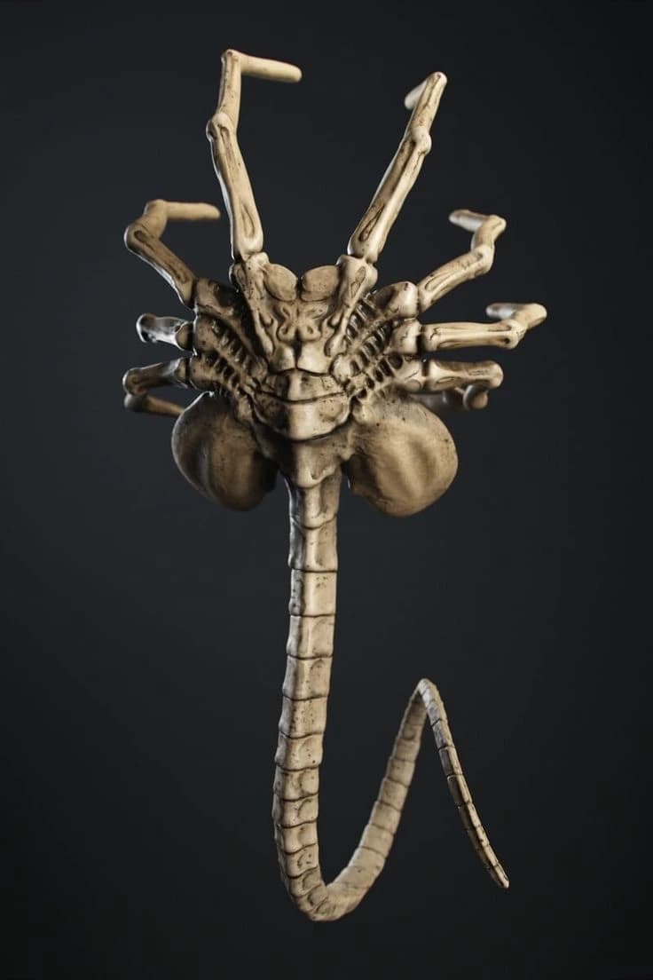 Facehugger  thumbnail