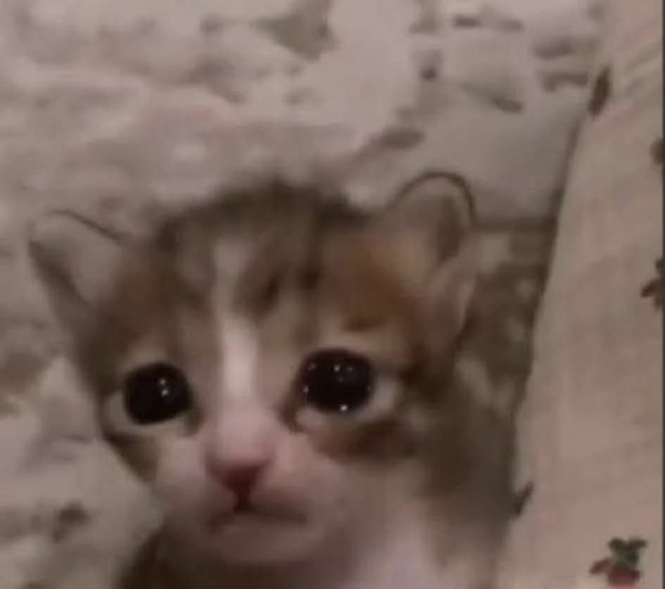 Karen thumbnail