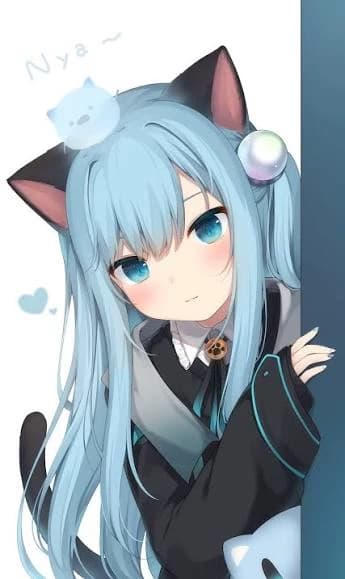 Nekoha Shizuku thumbnail