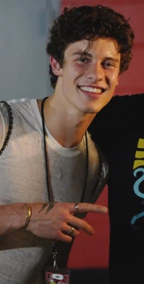 Shawn Mendes thumbnail