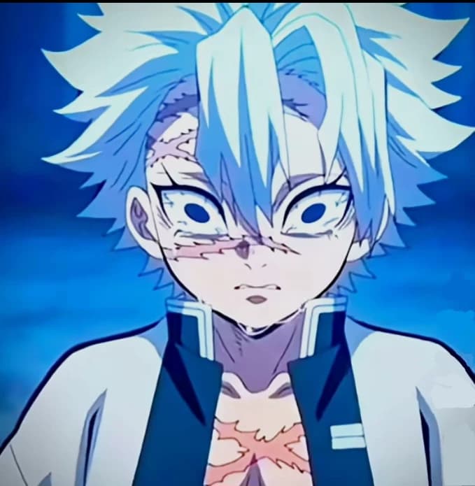 Sanemi Shinazugawa  thumbnail