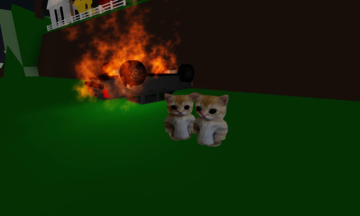 Mirringo cats thumbnail