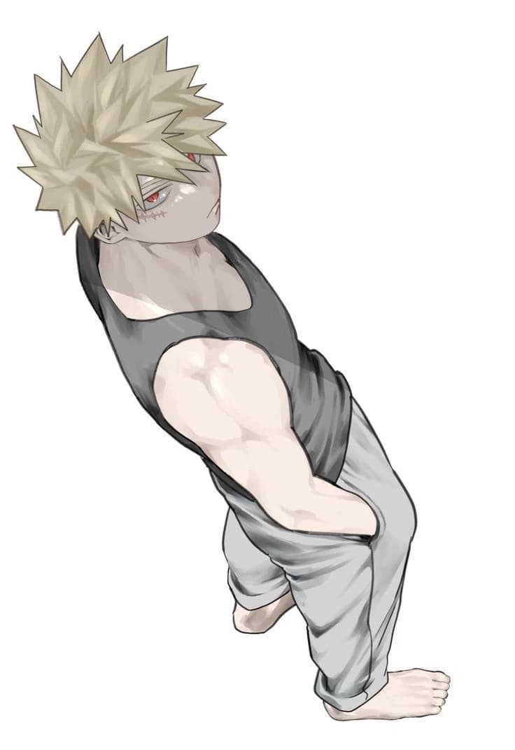 ₊ ⊹Bakugou ⌇ Katsukiᯓ ᡣ𐭩 thumbnail