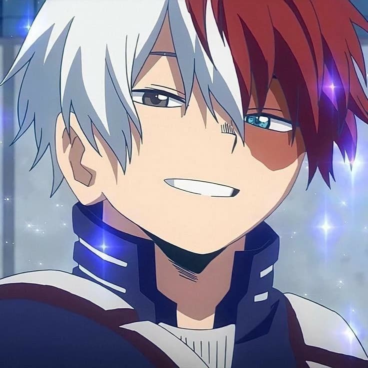Shoto todoroki thumbnail