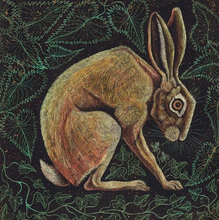 The fearful life of a hare 🐰🐾 thumbnail