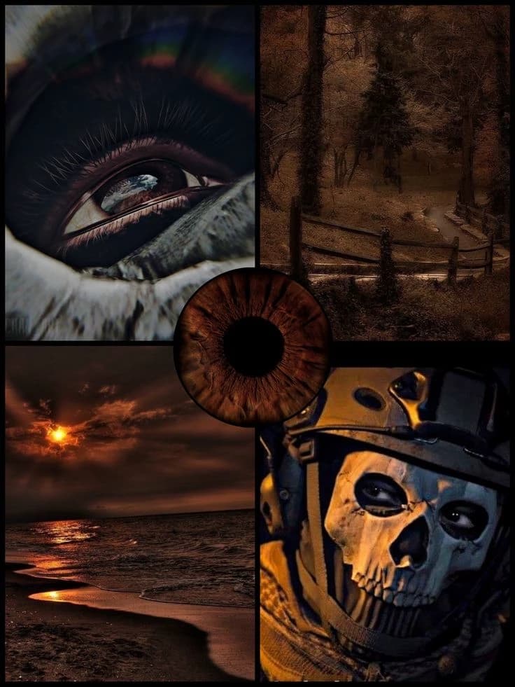 Tf141 thumbnail