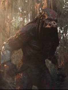 Assasin Predator thumbnail