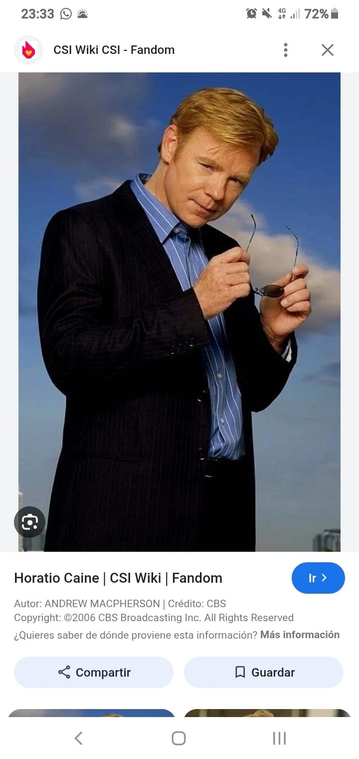 HORACIO CAINE CSI thumbnail