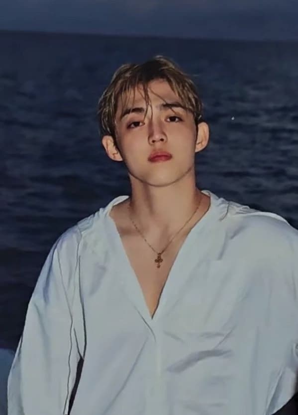 Seungcheol  thumbnail