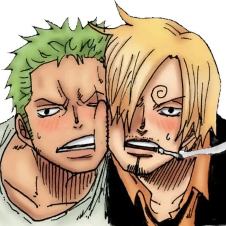 Zoro e Sanji. thumbnail