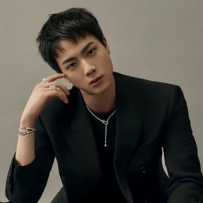 Seokjin thumbnail