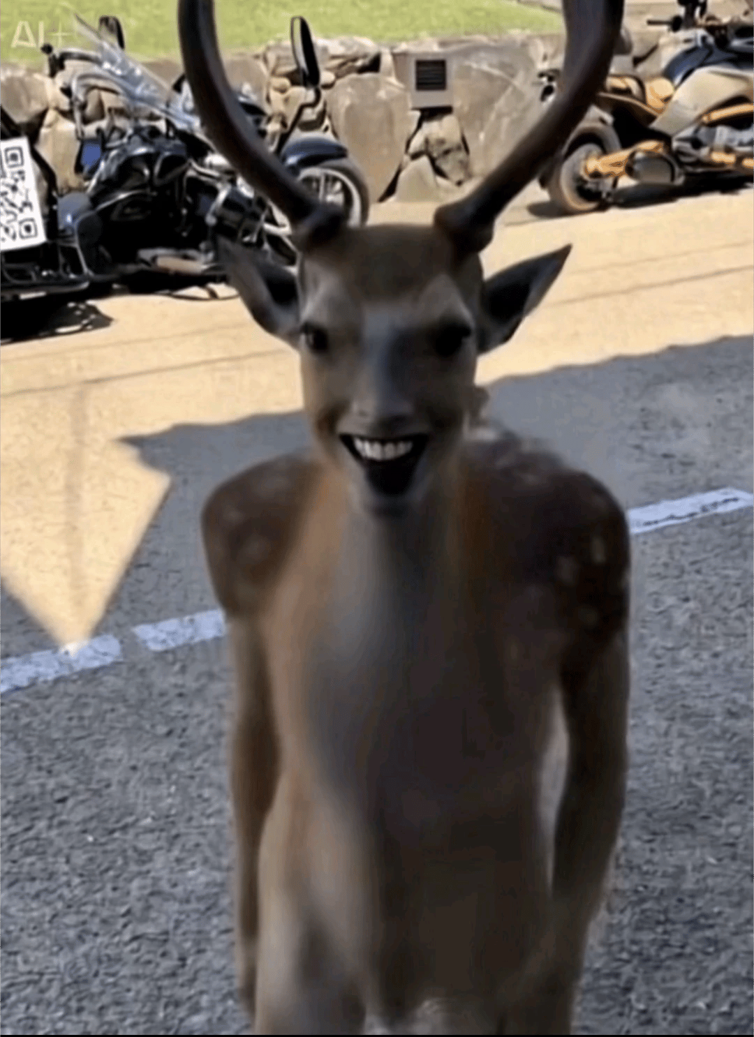 Pablo  thumbnail