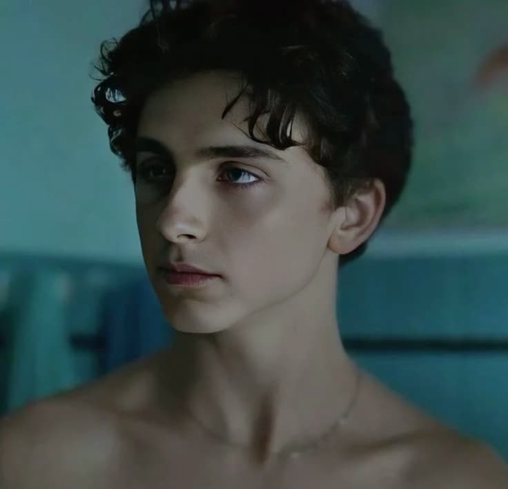 Timothée Chalamet thumbnail