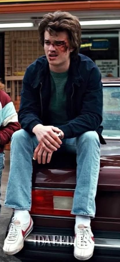 Steve Harrington thumbnail