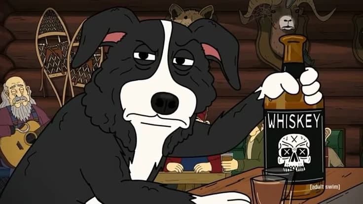 Mr. Pickles  thumbnail