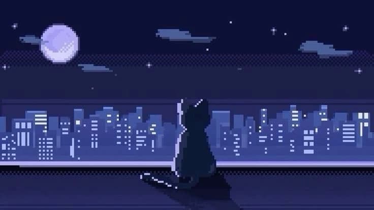 City cat🌃🪻 thumbnail