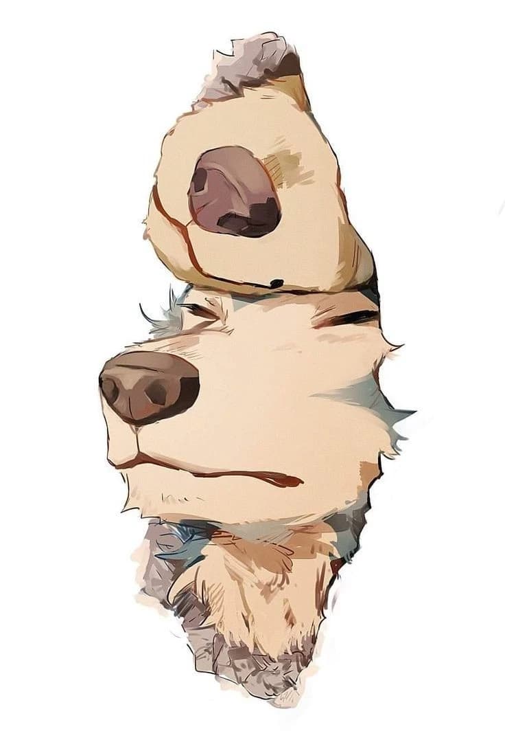 Beastars (canine dorm) thumbnail