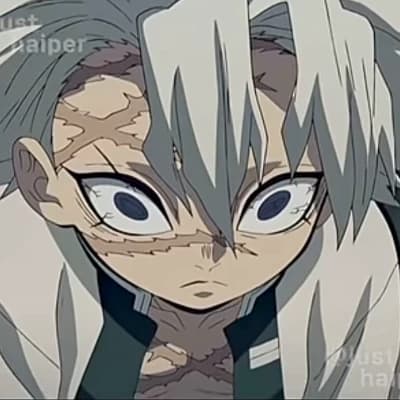 Sanemi Shinazugawa Hashira Wind thumbnail