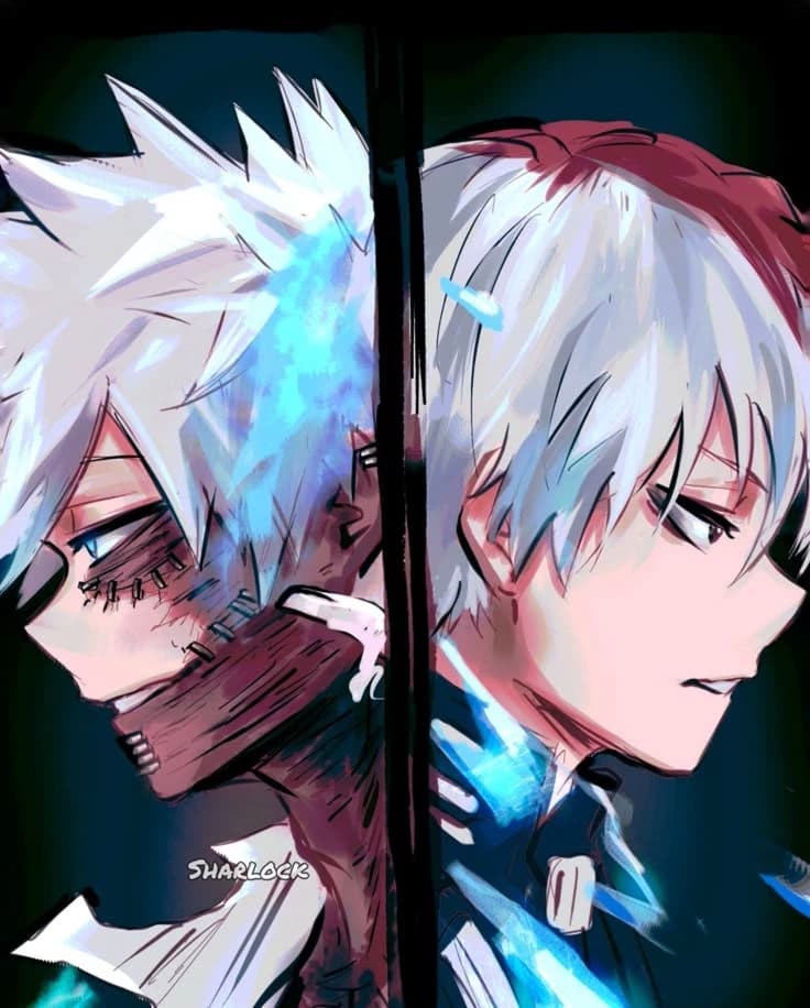 Dos hermanos todoroki (touya/dabi - shoto) thumbnail