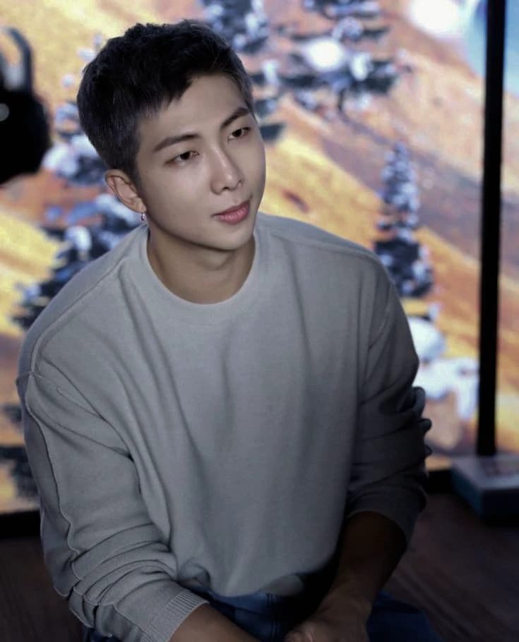 Namjoon (Leader, idol, calm, handsome)  thumbnail
