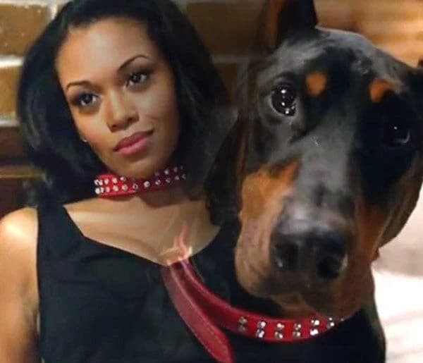 🐕Portia🐕 ||Supernatural 👻 thumbnail