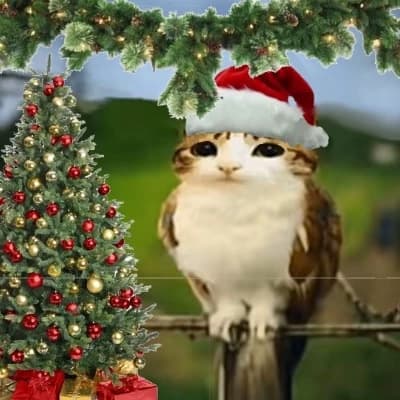 Meowl thumbnail