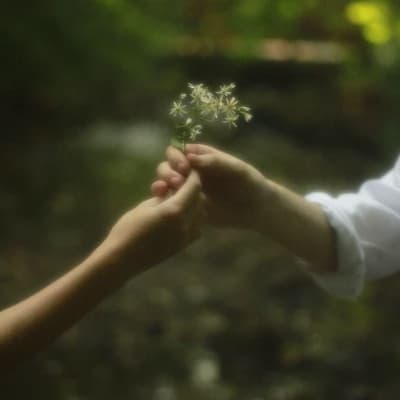 Forest love thumbnail