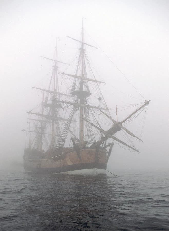 Lost pirate  thumbnail
