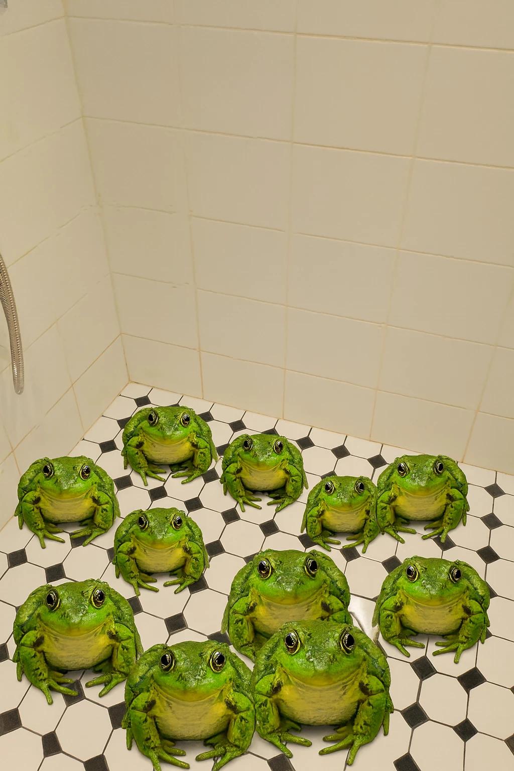 Frogs thumbnail